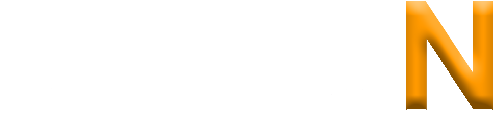 Level N logo